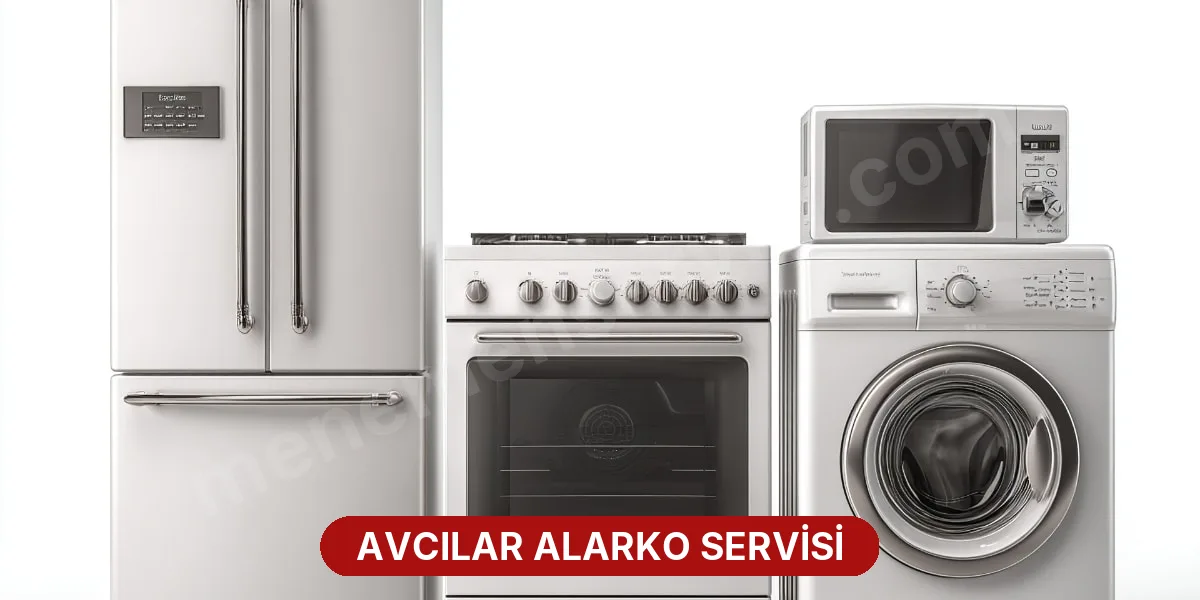 Avcılar Alarko Servisi