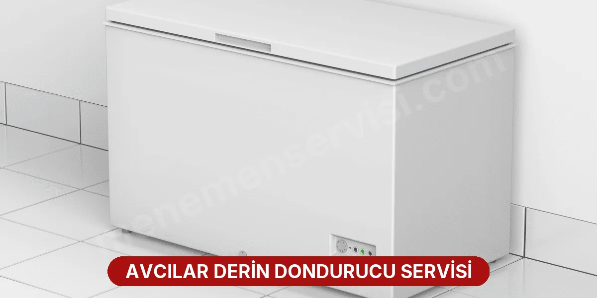 Avcılar Derin Dondurucu Servisi