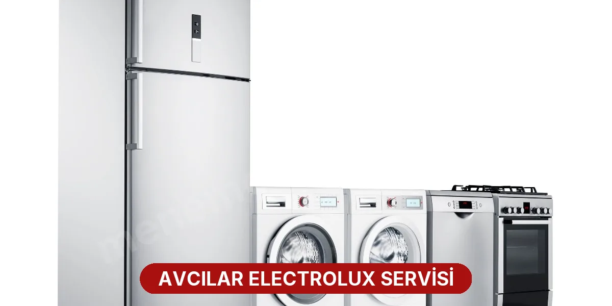 Avcılar Electrolux Servisi