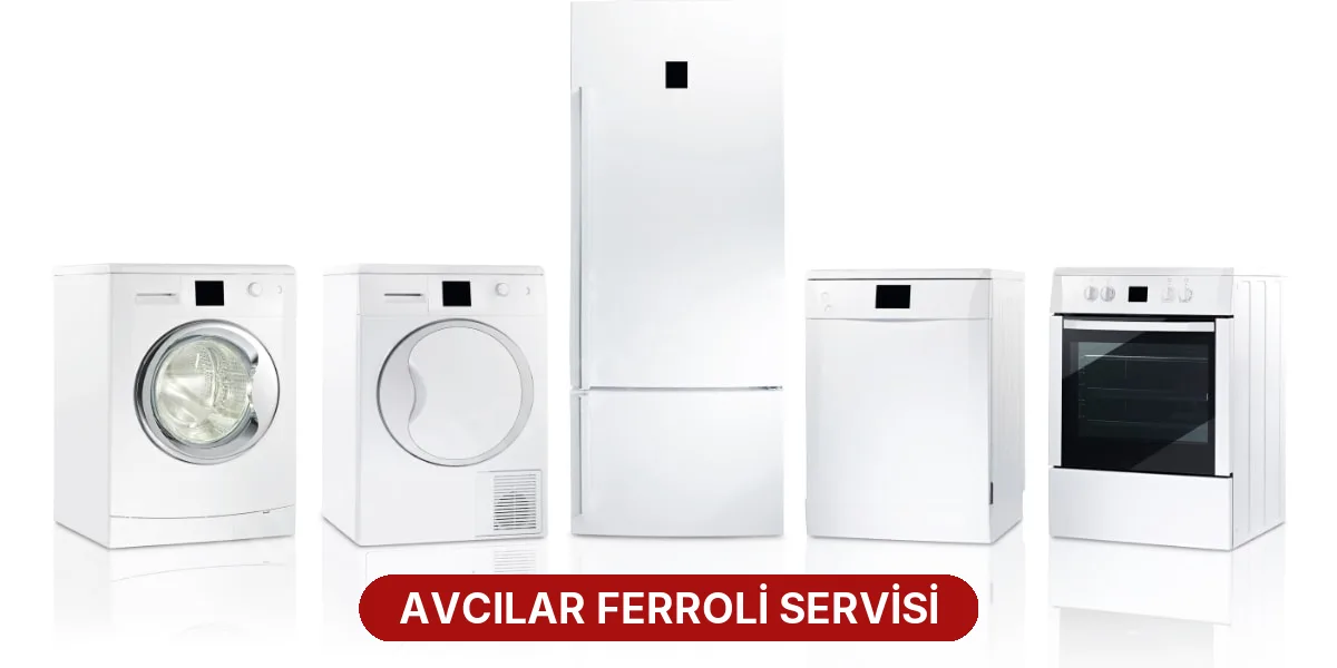 Avcılar Ferroli Servisi