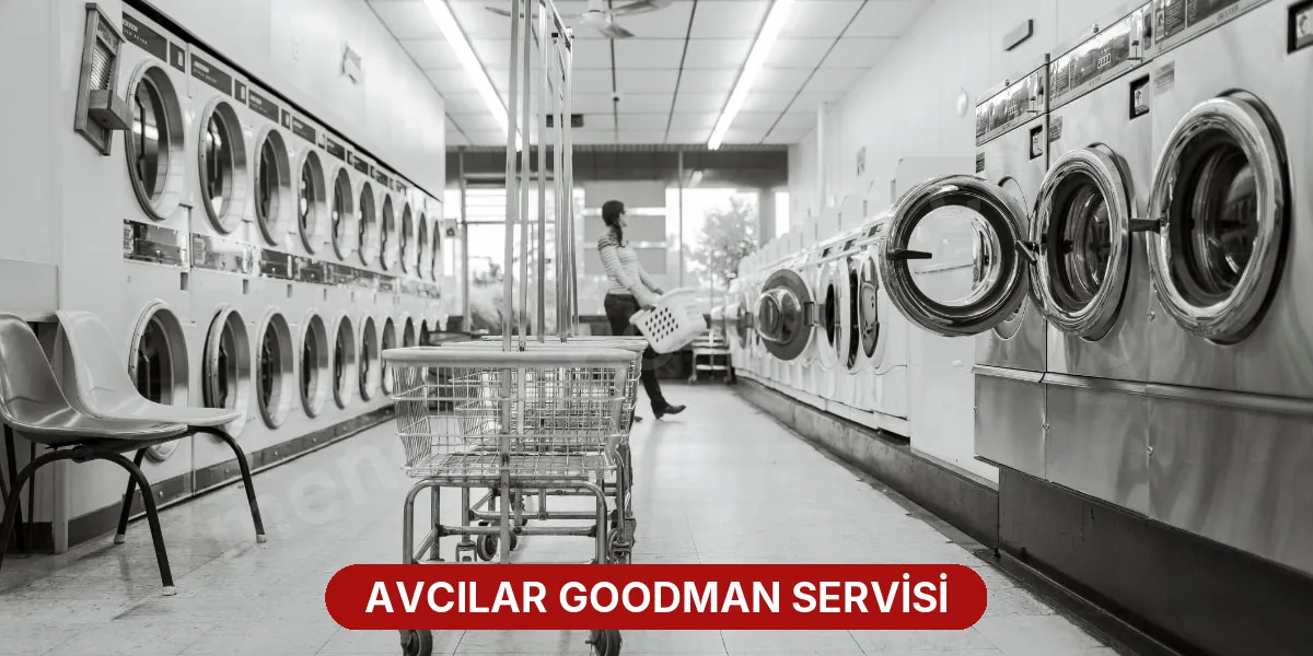 Avcılar Goodman Servisi