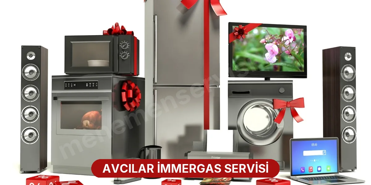 Avcılar İmmergas Servisi