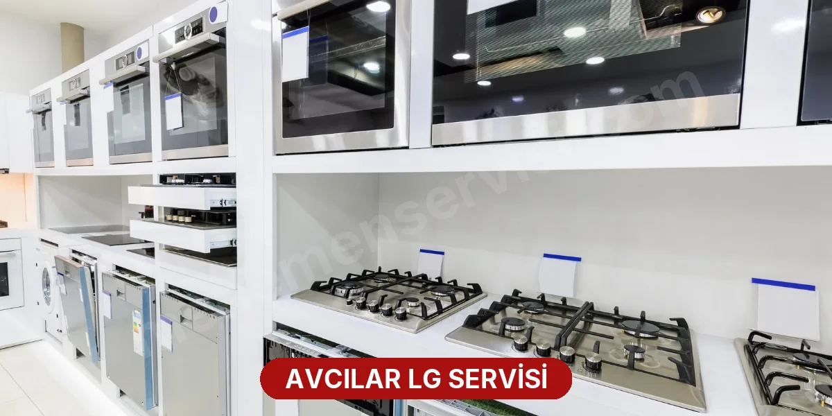 Avcılar LG Servisi