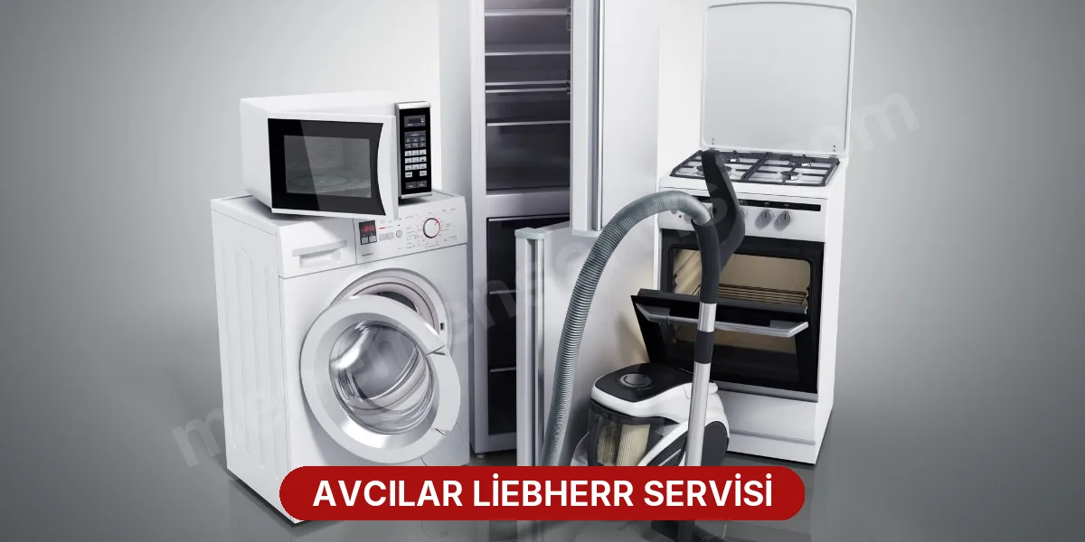 Avcılar Liebherr Servisi