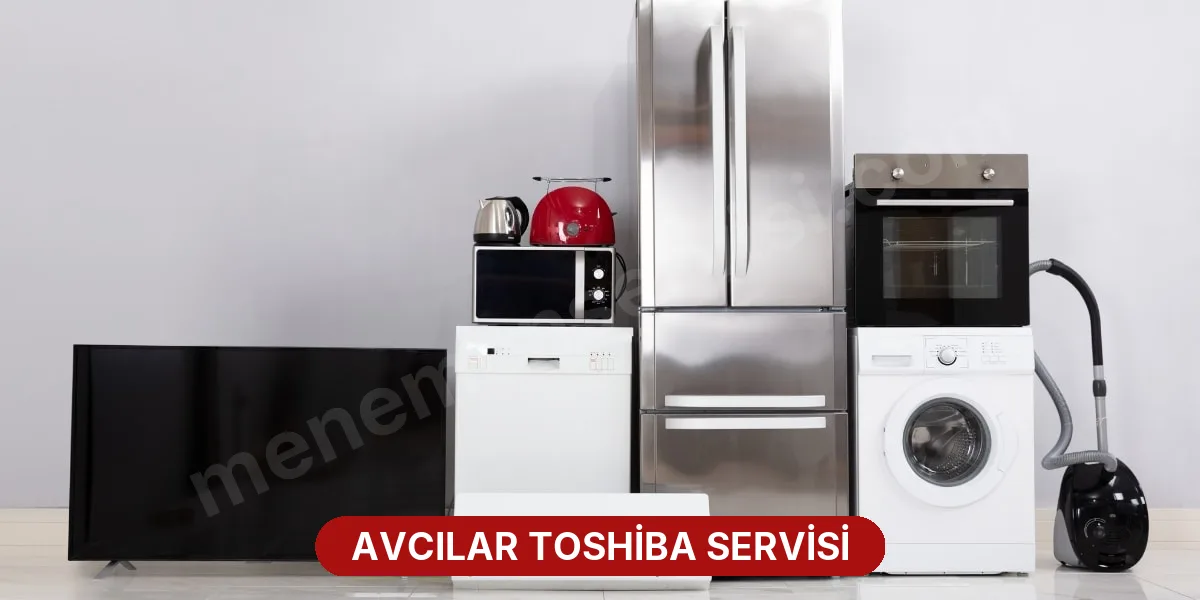 Avcılar Toshiba Servisi