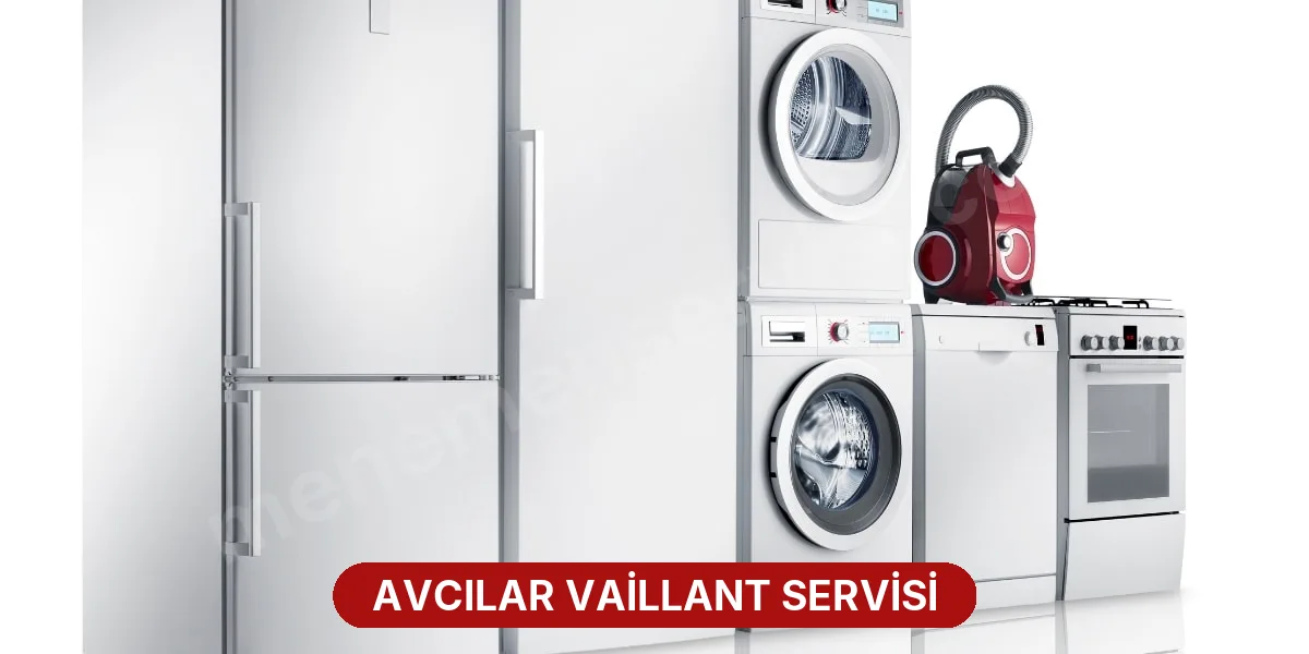 Avcılar Vaillant Servisi
