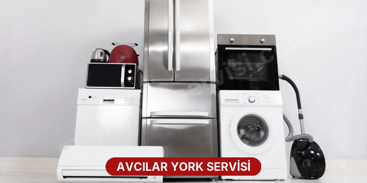 Avcılar York Servisi
